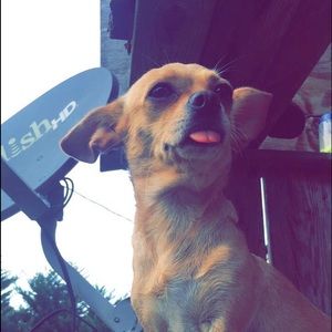 Meet your Posher, Berta